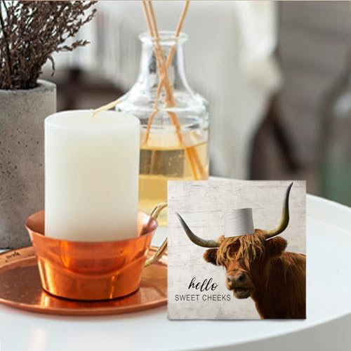 Highland Cow Bathroom Decor - Hello Sweet Cheeks Bathroom Decor, Rustic Highland Cow Western Wood Sign, 5 X 5 Inches - Image 4