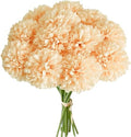 Mandy's 12pcs Artificial Champagne Ball Chrysanthemum Flowers by Mandys