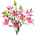 Artificial Lily Flowers with 9 Full Blooms & 3 Buds, Real Touch Long Stem Faux Tiger Lily for Home Hotel Office Wedding Party Table Centerpieces Decor(Light Pink) by SOFTKIDS