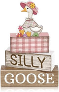 Yuntau 4 Pcs One Silly Goose Table Decor Baby Shower Birthday Party Decor by Yuntau