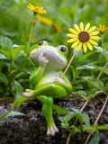 Frog Figurine, Funny Frog Statue with Removable Flower, DIY Customizable Office Home Decor for Living Room Shelf Desk Accessories, Outdoor Yard Garden Decorations, Birthday Gifts for Women by Fuzrea