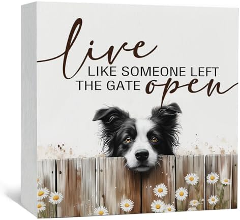 Live like Someone Left the Gate Open Border Collie Wooden Signs,Farm Cottagecore Animal Office Kitchen Bedroom Decor,Rustic Farmhouse Home Decor Signs,Border Collie Gifts for Women by Nitelat