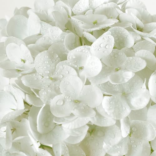 Coferset 3pcs Lifelike Real Touch Hydrangea Artificial Flowers,White - Image 2