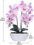 Large Artificial Orchid Arrangement in Oval Ribbed Ceramic Pot, Pink Shades - Image 6