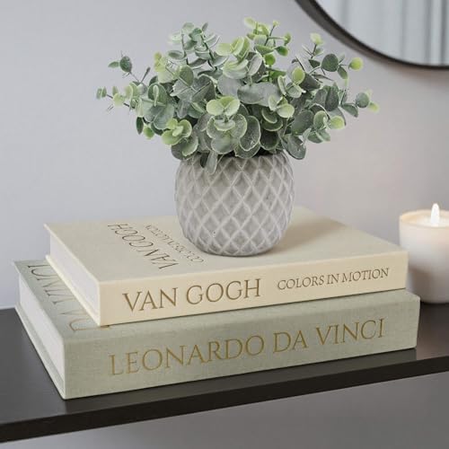 MAOBUYOU Decorative Storage Books Set of 2, Linen Cover, Gold Letters, White and Green by MAOBUYOU