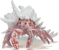 VVGIFTS Hermit Crab with Shell Beach Coastal Statue for Home Shelf Decor by VVGIFTS