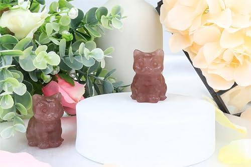 QINJIEJIE Strawberry Quartz Cat Crystals Figurines Stone Healing Crystal - Image 6
