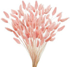 Uieke 17’’ Natural Bunny Tails Dried Flowers, 240 Pcs Dried Lagurus Ovatus, Dried Pink Pampas Grass Decor for Farmhouse Flower Arrangements Wedding Home Party Decorations by Uieke