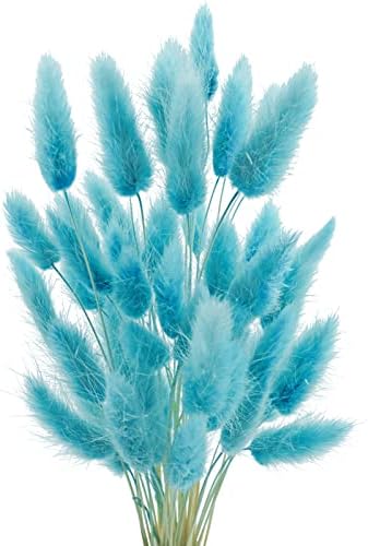 Uieke 17’’ Natural Bunny Tails Dried Flowers, 50 Pcs Dried Lagurus Ovatus, Dried Foxtail Grass for Flower Arrangements Wedding Centerpieces Home Boho Baby Shower Party Decorations (Blue) by Uieke