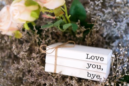 Cute Love You Bye Mini Wooden Faux Books, Express Love and Warm Family Sign for Office Front Door Bathroom Hallway Entryway Shelf Table Corner Decoration - Image 5