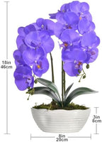 Large Artificial Orchid Arrangement in Oval Ribbed Ceramic Pot, Purple - Image 7