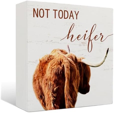 Highland Cow Wooden Sign - Funny Highland Cow Decor Wooden Box Signs, Rustic Farmhouse Bathroom Decor, 5 X 5 Inches by Unknown