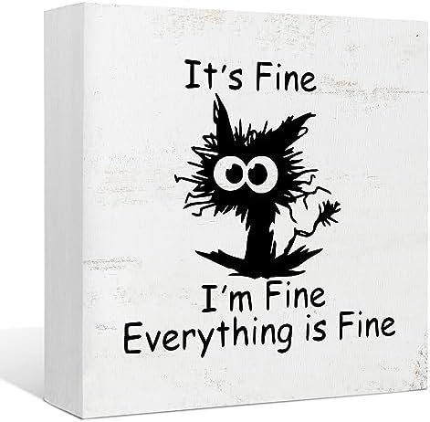 EIONEY Funny Office Desk Decor Sign,Funny Coworker Gift for Women Men,Cute Black Cat Decor for Home Office Table Shelf Wall,It's Fine I'm Fine Everything is Fine Wood Box Sign 5x5 Inch by EIONEY