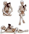 Dlfghos 3 Pieces Halloween Skeleton Statue Halloween Skull Figurine Home Decor Reading Skeleton Figurines Decorations for Indoor Fireplace Home Kitchen Desk Office Party by Dlfghos