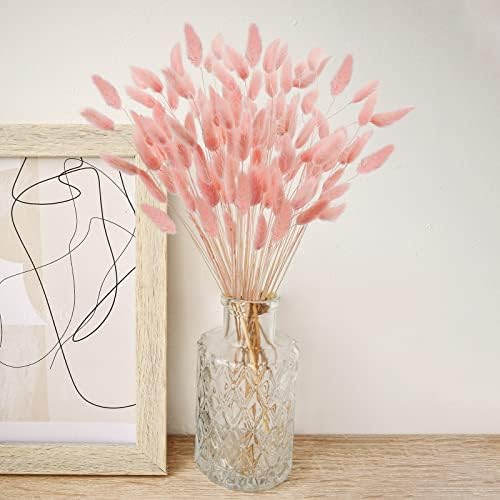 Uieke 17’’ Natural Bunny Tails Dried Flowers, 240 Pcs Dried Lagurus Ovatus, Dried Pink Pampas Grass Decor for Farmhouse Flower Arrangements Wedding Home Party Decorations - Image 2