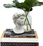 Greek Statue of David - Head Bust for Mythology and Roman Home Decor - Image 4
