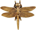 KISWIAR Gold Dragonfly Wall Sculpture, 3D Resin Dragonfly Wall Decor, Vintage Insect Wall Hanging Decoration for Living Room Bedroom Farmhouse (Golden) by KISWIAR