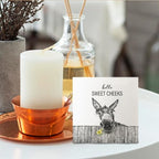 Funny Bathroom Wooden Signs - Rustic Hello Sweet Cheeks Bathroom Decor, Funny Farmhouse Donkey Decor, 6 X 6 Inches - Image 4