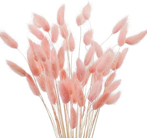 Uieke 17’’ Natural Bunny Tails Dried Flowers, 240 Pcs Dried Lagurus Ovatus, Dried Pink Pampas Grass Decor for Farmhouse Flower Arrangements Wedding Home Party Decorations - Image 7