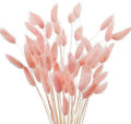 Uieke 17’’ Natural Bunny Tails Dried Flowers, 50 Pcs Dried Lagurus Ovatus, Dried Pink Pampas Grass Decor for Farmhouse Flower Arrangements Wedding Home Boho Party Decorations by Uieke