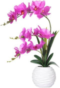 Artificial Large Real Touch Orchid Flowers with White Ceramic Vase, Fuchsia by FuleHouzz