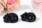 QINJIEJIE Black Obsidian Cat Decor Crystals and Healing Stones Figurine - Image 3