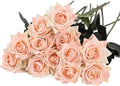 Kimura's Cabin 12pcs Real Touch Rose Artificial Flowers Long Stem,Champagne by WeddingPartyArrangementBouquetsDecorationArtificialFlowers