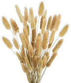Uieke 17'' Natural Bunny Tails Dried Flowers, 120 Pcs Dried Lagurus Ovatus, Dried Brown Pampas Grass Decor for Farmhouse Flower Arrangements Wedding Home Boho Party Decorations by Uieke