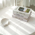 3 PCS Faux Decorative Books for Home Decor-Coffee Table Books Decor-Aesthetic Fake/Faux Books for Decoration,libros Decoration for Coffee Table, Shelf Accessories (Believe Achieve Dream) by YOYMJBY