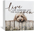 Goldendoodle Wooden Box Sign, Rustic Farmhouse Live Like Someone Left the Gate Open Signs for Home Decor,Farm Dog Office Kitchen Bedroom Decor,Goldendoodle Gifts for Kids Women Men,6x6 by Nitelat