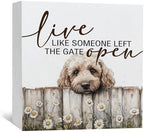 Goldendoodle Wooden Box Sign, Rustic Farmhouse Live Like Someone Left the Gate Open Signs for Home Decor,Farm Dog Office Kitchen Bedroom Decor,Goldendoodle Gifts for Kids Women Men,6x6 by Nitelat