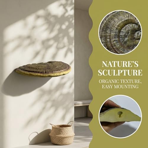 3pcs Cute Mushroom Shelves, Hanging Whimsical Cottage Core Home Wall Decor, Leopard Gecko Tank Accessories (Large) - Image 5
