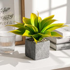 Artificial Agave Faux Agave 12.2In Fake Greenery Outdoor Artificial Plant Fake Plant for Indoor Home Decoration Plastic Plant Outdoor Decor Front Porch Decor Simulation Plants(Yellow,2Pack) - Image 6