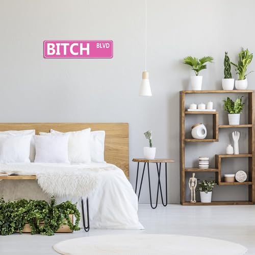 Retro Pink Tin Metal Sign - 'BITCH BLVD' - Bold Statement Decor for Home, Bar, or Dorm - 16x4 Inches - Unique Gift Idea for Friends(B71) - Image 5