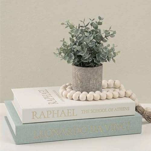 Upgraded Decorative Books for Home Decor - Coffee Table Faux Books for Decoration, Linen Fake Book Storage Box for Entryway, Bookshelf, Modern, Boho, Farmhouse & Neutral Aesthetic Decor, Set of 2 by DesigntheQuietwithFveuc