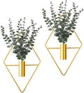Jexine 2 Pcs Hanging Artificial Planters Wall Decor, Gold, Eucalyptus by Jexine