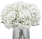 6Pcs 13" Ivory White Silk Hydrangea Artificial Flowers by Blooming+Paradise