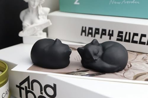 QINJIEJIE Black Obsidian Cat Crystals Decor Matt Sleeping Cat Statue Gifts - Image 5