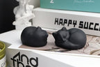QINJIEJIE Black Obsidian Cat Crystals Decor Matt Sleeping Cat Statue Gifts - Image 5