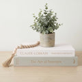Vine Creations Decorative Books - Set of 2 Linen Hardcover Boxes with Storage - Aesthetic Fake Books for Decoration for Home, Shelf, Bookshelf Decor, Coffee Table Decor, as Storage or Keepsake Box by VineCreations