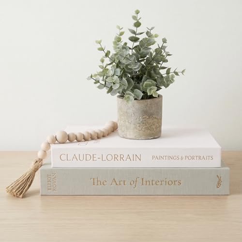 Vine Creations Decorative Books - Set of 2 Linen Hardcover Boxes with Storage - Aesthetic Fake Books for Decoration for Home, Shelf, Bookshelf Decor, Coffee Table Decor, as Storage or Keepsake Box by VineCreations