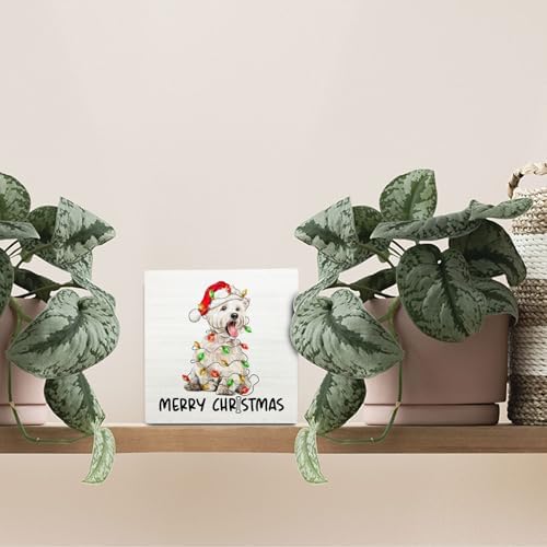 West Highland White Terrier Christmas Wooden Box Sign Desk Decor, Westie Dog Lover Gifts, Christmas Dog Wood Block Sign for Home Office Desk Table Shelf Wall Decorations, 5x5 Inch - Image 3