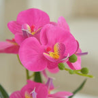 Artificial Real Touch Orchid Flowers with White Ceramic Vase, Purple Red - Image 7