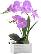 Artificial Real Touch Orchid Flowers with White Ceramic Vase, Purple by FuleHouzz