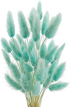 Uieke 50 Pcs Bunny Tails Dried Flowers, 17’’ Dried Lagurus Ovatus, Dried Foxtail Grass for Flower Arrangements Wedding Centerpieces Home Boho Baby Shower Party Decorations (Teal Blue) by Uieke