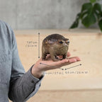 MOLMH Weird Queer Grumpy Frog Toad Statue Ugly Angry Outdoor Garden Yard Decor Statue Fun Novelty Home Office Decor Sculpture Unique Gift - Image 6