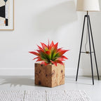 Artificial Agave 22" Faux Agave Fake Greenery Outdoor Artificial Plant Fake Plant for Indoor Home Decoration Plastic Plant Outdoor Decor Front Porch Decor Simulation Plants (Red 2Pcs) No Vase - Image 6