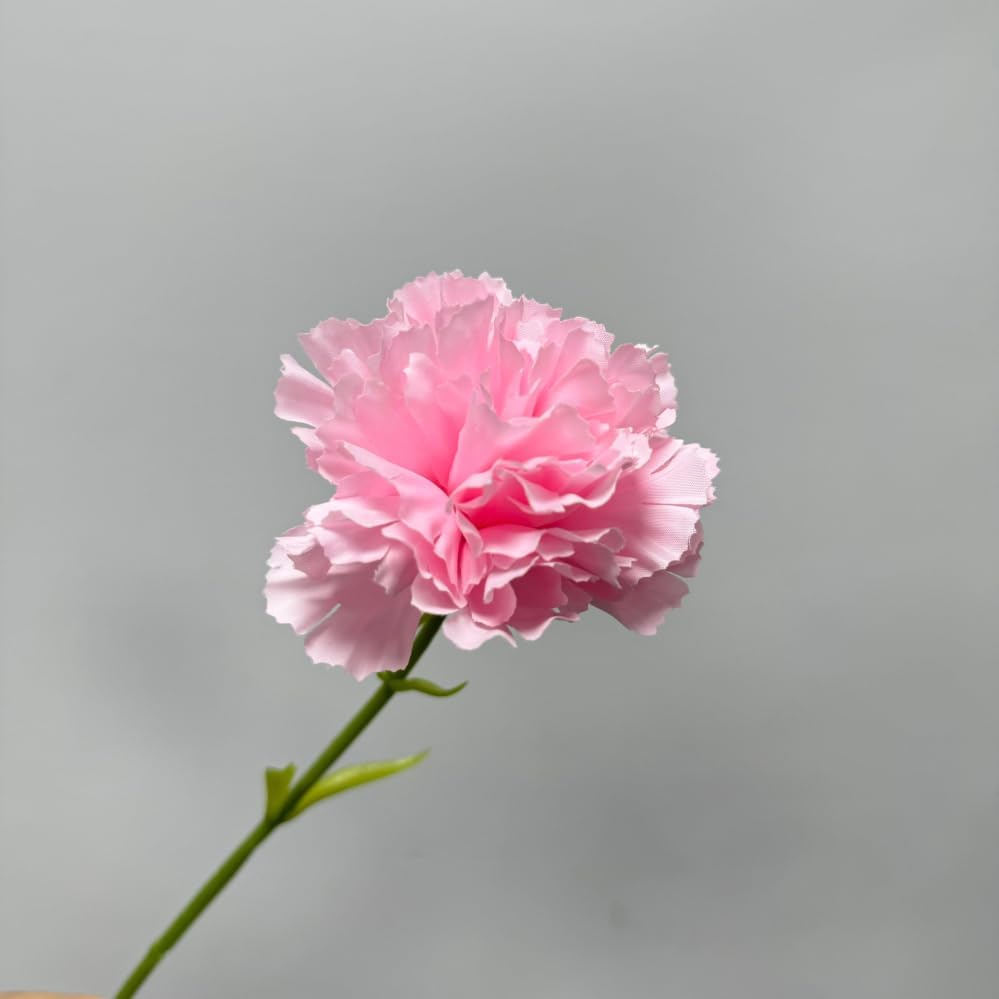 Rikyo 10pcs Pink Fake Carnation Flowers Stem, Realistic Silk Petals - Image 6