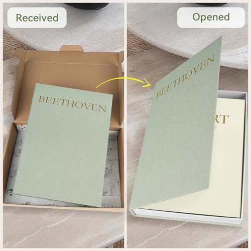 1DOT2 Decorative Books Set of 2, Sage-Beige-Musician - Image 6