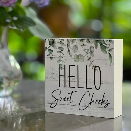 Rustic Bathroom Decor Farmhouse Hello Sweet Cheeks Wooden Sign, Toilet Rules Decoration for Farmhouse Apartment Shelves Toilet Restroom Home Tabletop Desk, Modern Toilet Shelves Accessory (Eucalyptus1) - Image 4